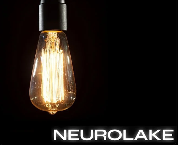 NEUROLAKE - Soluciones IA